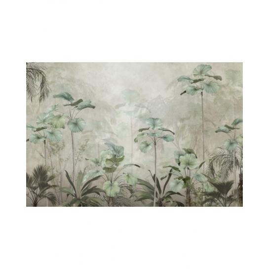 Kilka Wysokich Palm