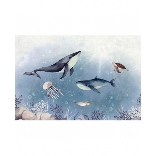 Oceaniczne Stworzenia