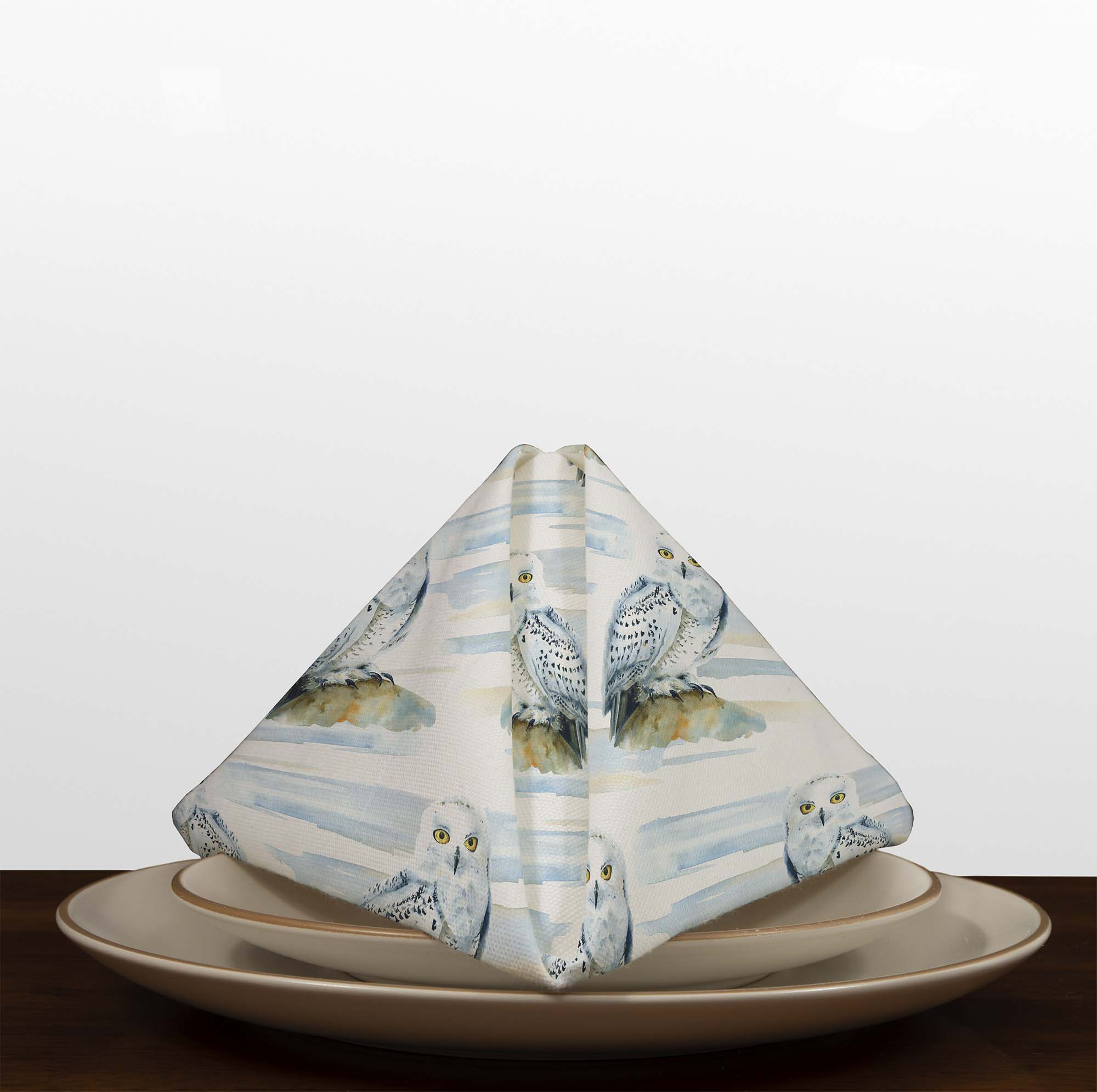 http://patternsworld.pl/images/Napkins/Dinner/View_2/11698.jpg
